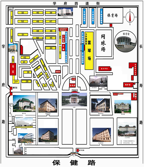 �������ͼ